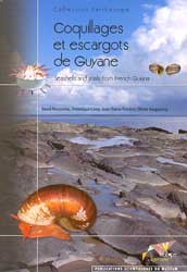 COQUILLAGES ET ESCARGOTS DE GUYANE. SEASHELLS AND SNAILS FROM FRENCH GUIANA 1