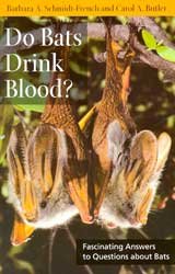 DO BATS DRINK BLOOD? FASCINATING ANSWERS TO QUESTIONS ABOUT BATS 1