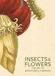 INSECTS AND FLOWERS. THE ART OF MARIA SIBYLLA MERIAN 1