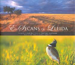 ELS SECANS DE LLEIDA 1