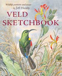 VELD SKETCHBOOK 1