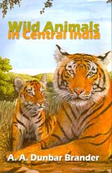 WILD ANIMALS IN CENTRAL INDIA 1
