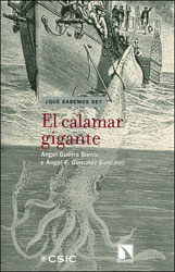 EL CALAMAR GIGANTE 1