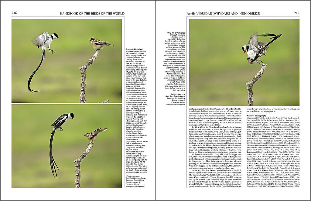 HANDBOOK OF THE BIRDS OF THE WORLD, VOL. 15 . WEAVERS TO  NEW WORLD WARBLERS 2