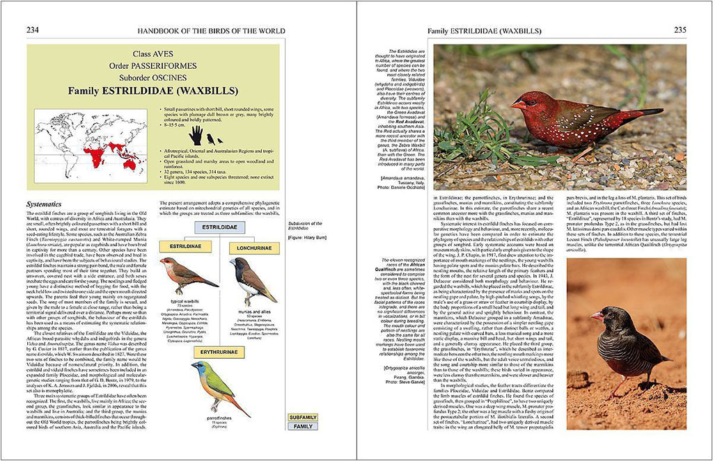 HANDBOOK OF THE BIRDS OF THE WORLD, VOL. 15 . WEAVERS TO  NEW WORLD WARBLERS 3