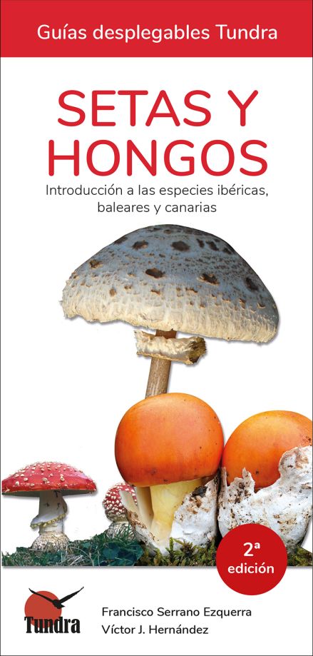 SETAS Y HONGOS. INTRODUCCIÓN A LAS ESPECIES IBÉRICAS, BALEARES Y CANARIAS. GUÍAS DESPLEGABLES TUNDRA 1