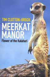 MEERKAT MANOR. FLOWER OF THE KALAHARI 1