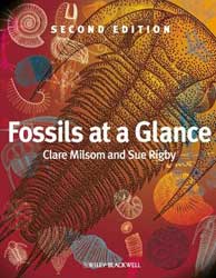 FOSSILS AT A GLANCE 1