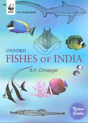 FISHES OF INDIA 1