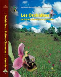 LES ORCHIDÉES DE POITOU-CHARENTES ET DE VENDÉE 2