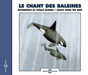 CD LE CHANT DES BALEINES 1