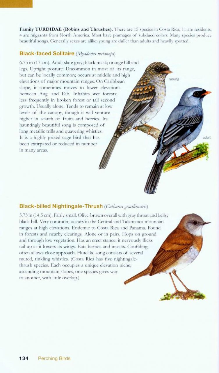 THE WILDLIFE OF COSTA RICA. A FIELD GUIDE 3