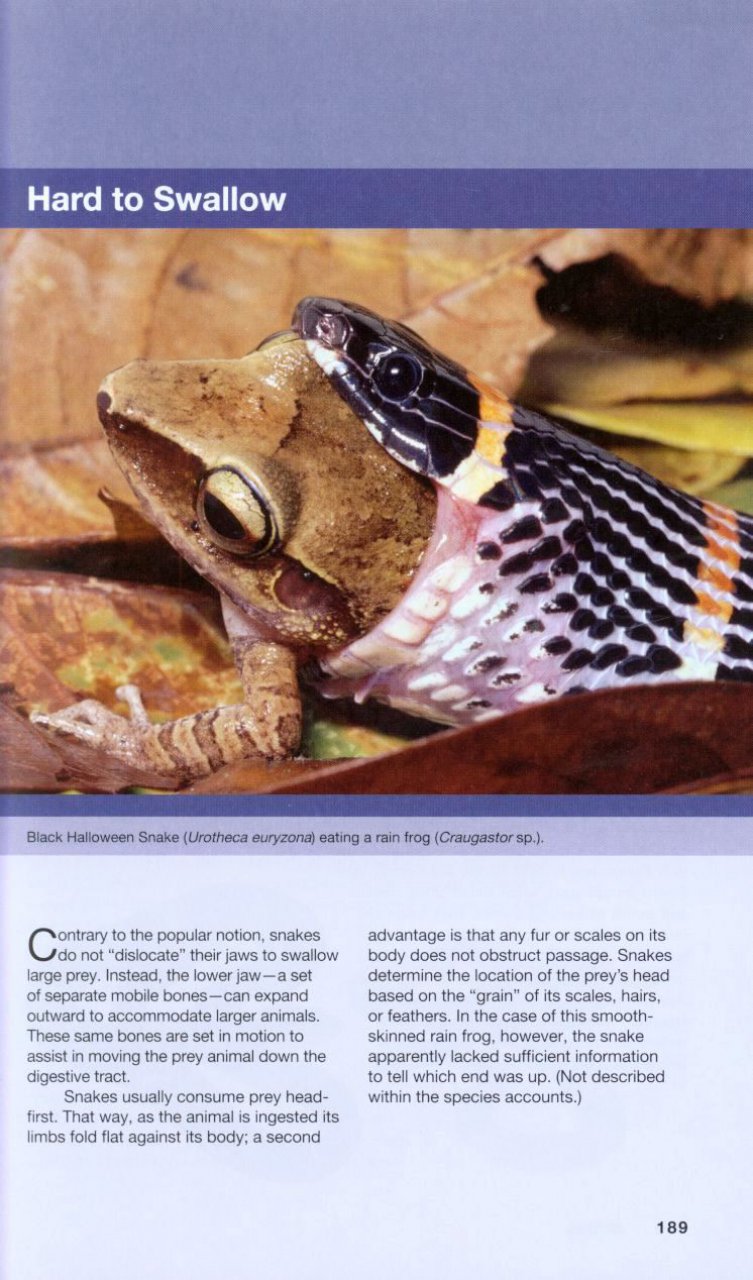 THE WILDLIFE OF COSTA RICA. A FIELD GUIDE 4