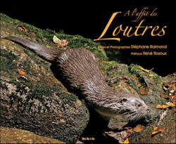 À L'AFFÛT DES LOUTRES 1
