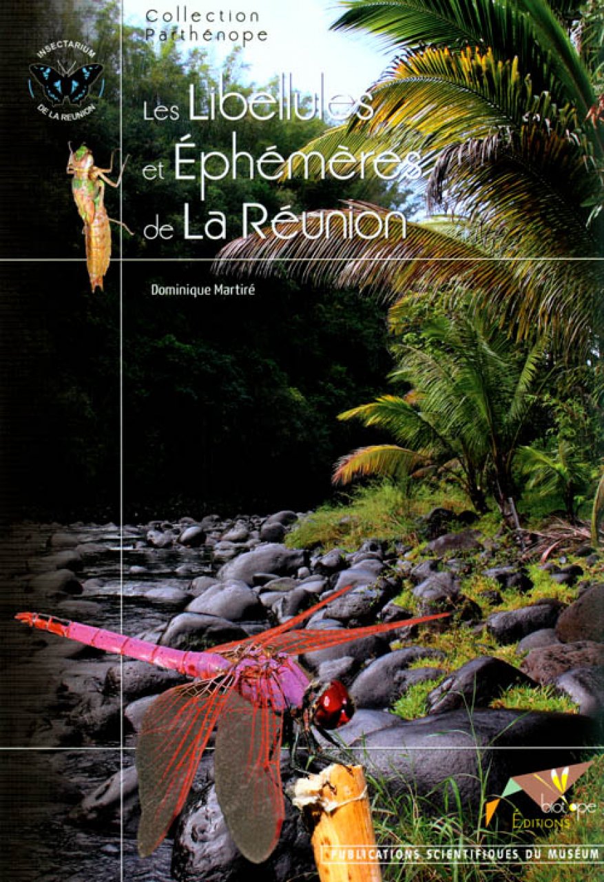 LES LIBELLULES ET ÉPHÉMÈRES DE LA RÉUNION