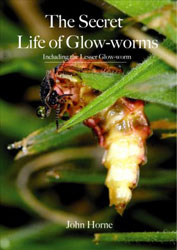 THE SECRET LIFE OF GLOW-WORMS. INCLUDING THE LESSER GLOW-WORM 1