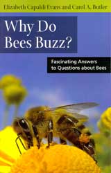 WHY DO BEES BUZZ? FASCINATING ANSWERS TO QUESTIONS ABOUT BEES 1