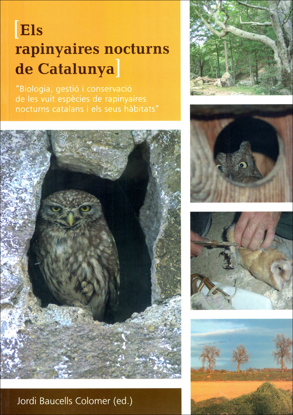 ELS RAPINYAIRES NOCTURNS DE CATALUNYA. BIOLOGIA, GESTIÓ I CONSERVACIÓ DE LES VUIT ESPECIES DE RAPINYAIRES NOCTURNS CATALANS I ELS SEUS HÀBITATS. 1