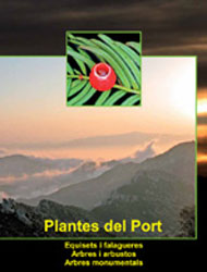 PLANTES DEL PORT VOL. 1 EQUISETS I FALGUERES, ARBRES I ARBUSTOS, ARBRES MONUMENTALS 1