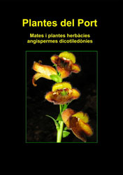 PLANTES DEL PORT VOL. 2 MATES I PLANTES HERBÀCIES, ANGIOSPERMES DICOTILEDÒNIES 2
