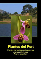 PLANTES DEL PORT VOL. 3 PLANTES HERBÀCIES, ANGIOSPERMES MONOCOTILEDÒNIES, ARBRES SINGULARS 2
