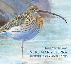 ENTRE MAR Y TIERRA/ BETWEEN SEA AND LAND 1