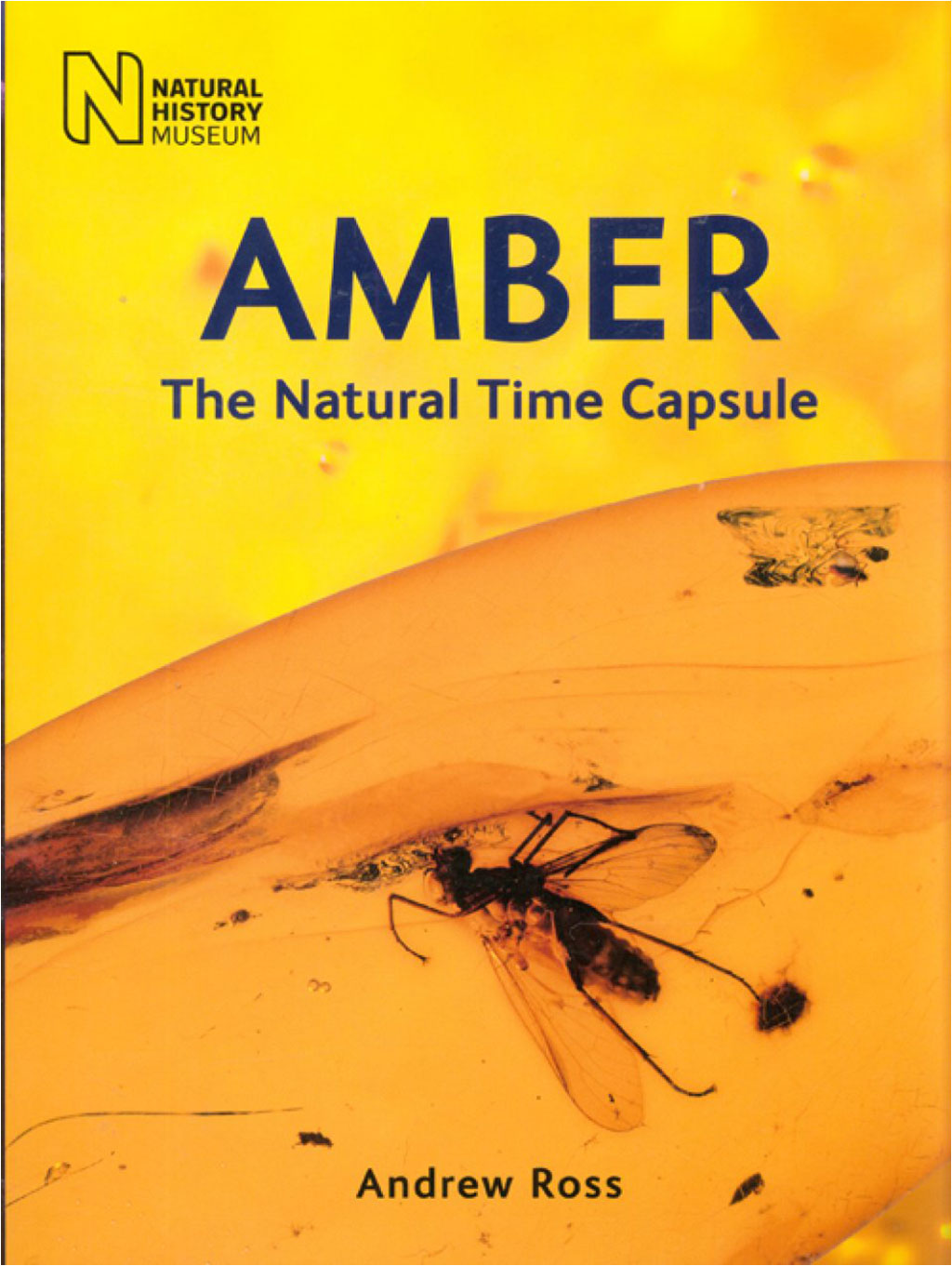 AMBER: THE NATURAL TIME CAPSULE