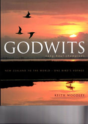 GODWITS. LONG-HAUL CHAMPIONS 1