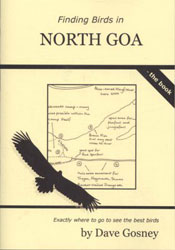FINDING BIRDS IN NORTH GOA 1