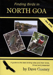 DVD FINDING BIRDS IN NORTH GOA 1