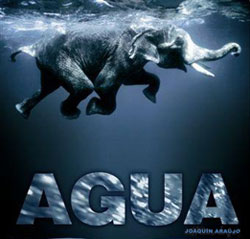AGUA. JOAQUÍN ARAÚJO 1