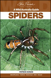 A WILD AUSTRALIA GUIDE. SPIDERS 1