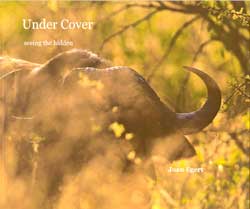 UNDER COVER SEEING THE HIDDEN 1