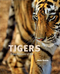 TIGERS: A CELEBRATION OF LIFE 1