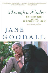 THROUGH A WINDOW. MY THIRTY YEARS WITH THE CHIMPANZEES OF GOMBE 1
