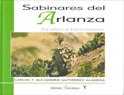 SABINARES DEL ARLANZA. POR TIERRAS DE FERNÁN GONZÁLEZ 1