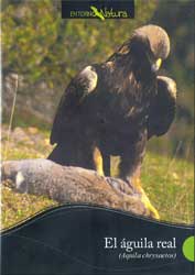 DVD EL ÁGUILA REAL (AQUILA CHRYSAETOS) 1
