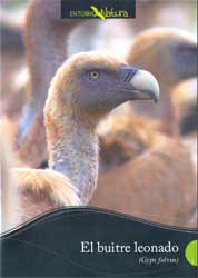 DVD EL BUITRE LEONADO (GYPS FULVUS) 1