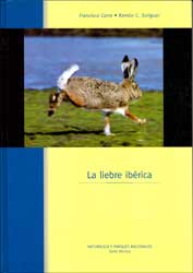 LA LIEBRE IBÉRICA 1