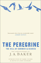 THE PEREGRINE 1