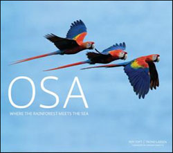 OSA: WHERE THE RAINFOREST MEETS THE SEA 1