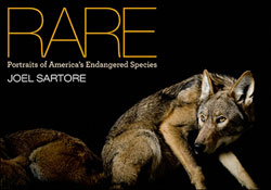RARE PORTRAITS OF AMERICA'S ENDANGERED SPECIES 1