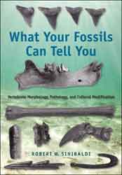 WHAT YOUR FOSSILS CAN TELL YOU. VERTEBRATE MORPHOLOGY, PATHOLOGY, AND CULTURAL MODIFICATION 1