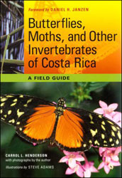 BUTTERFLIES, MOTHS, AND OTHER INVERTEBRATES OF COSTA RICA. A FIELD GUIDE 1