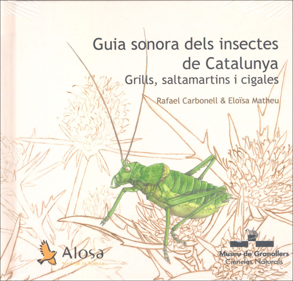 GUIA SONORA DELS INSECTES DE CATALUNYA. GRILLS, SALTAMARTINS I CIGALES 1