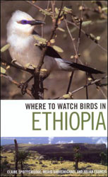 WHERE TO WATCH BIRDS IN ETHIOPIA 1