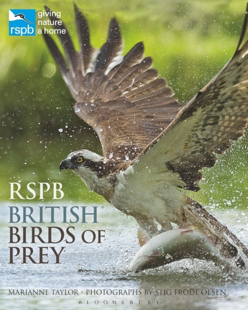 RSPB BRITISH BIRDS OF PREY 1