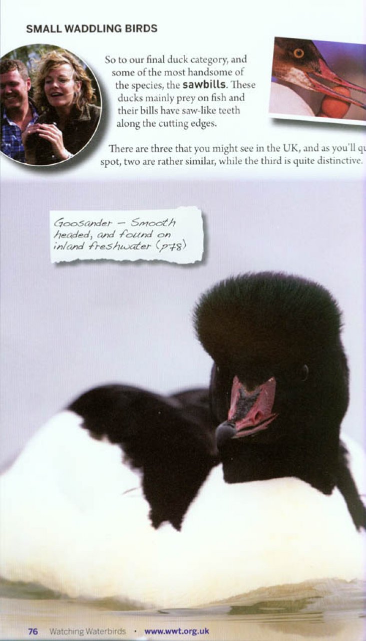 WATCHING WATERBIRDS WITH KATE HUMBLE 2