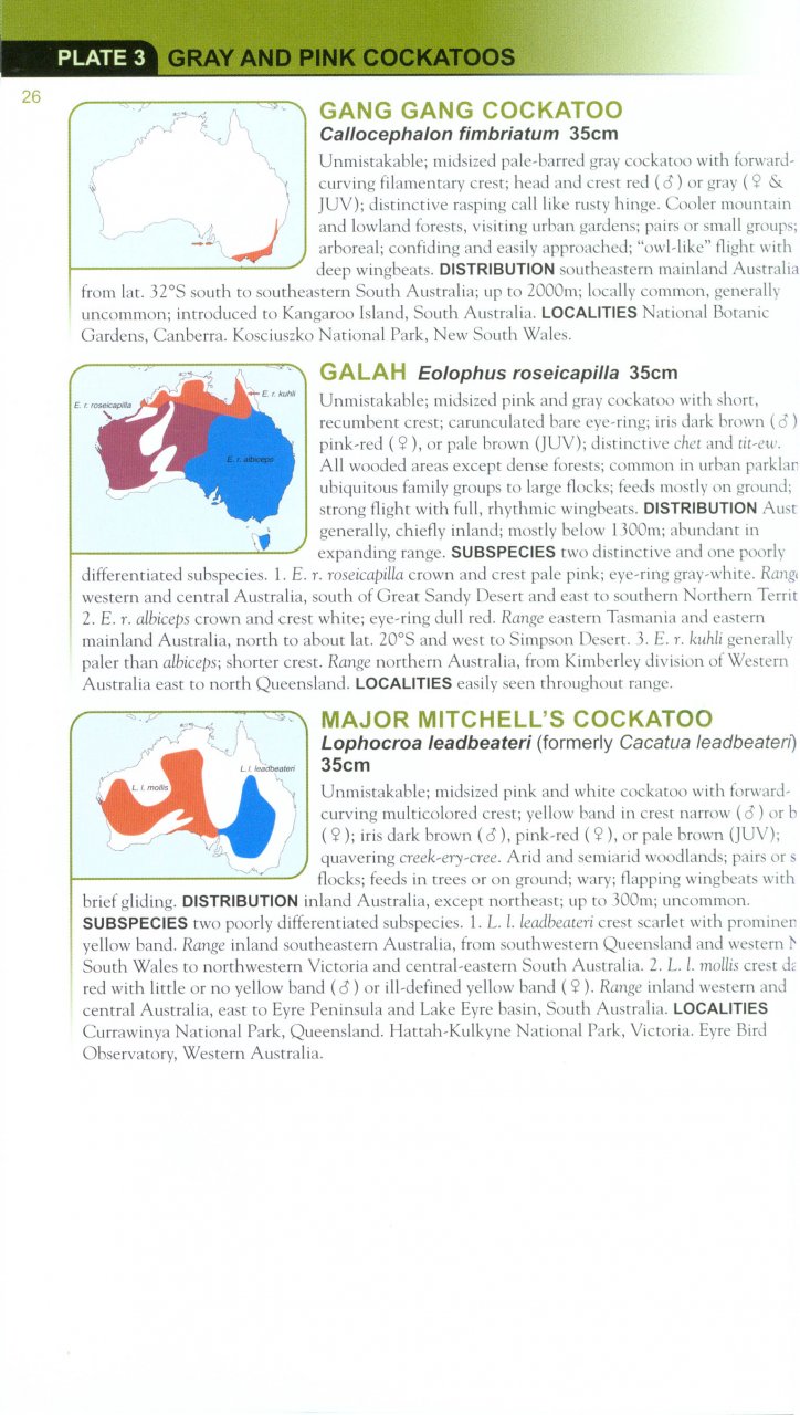 HELM FIELD GUIDES. PARROTS OF THE WORLD 2