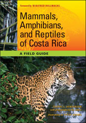 MAMMALS, AMPHIBIANS, AND REPTILES OF COSTA RICA: A FIELD GUIDE 1